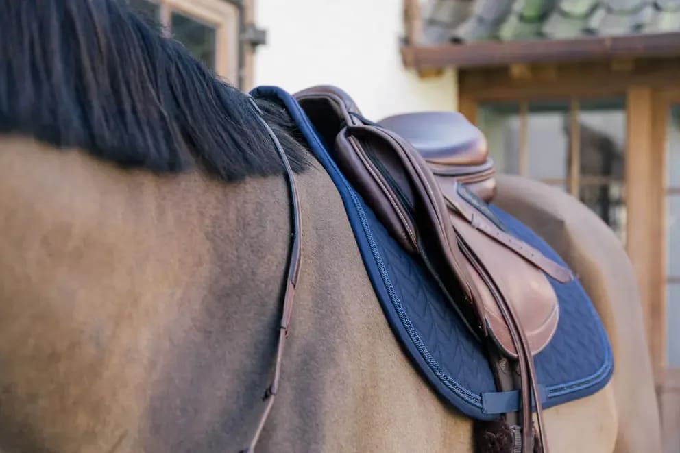 Kentucky Saddle Pad Metal Chain Jumping - Løwenborg - Kentucky Horsewear