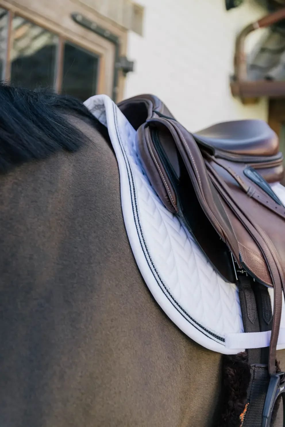 Kentucky Saddle Pad Metal Chain Jumping - Løwenborg - Kentucky Horsewear