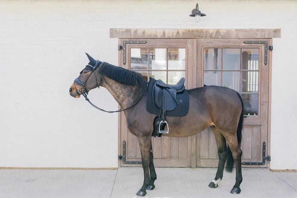 Kentucky Saddle Pad Metal Chain Dressage - Løwenborg - Kentucky Horsewear