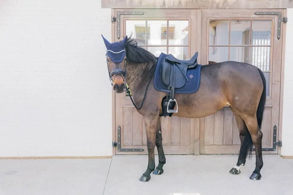 Kentucky Saddle Pad Metal Chain Dressage - Løwenborg - Kentucky Horsewear