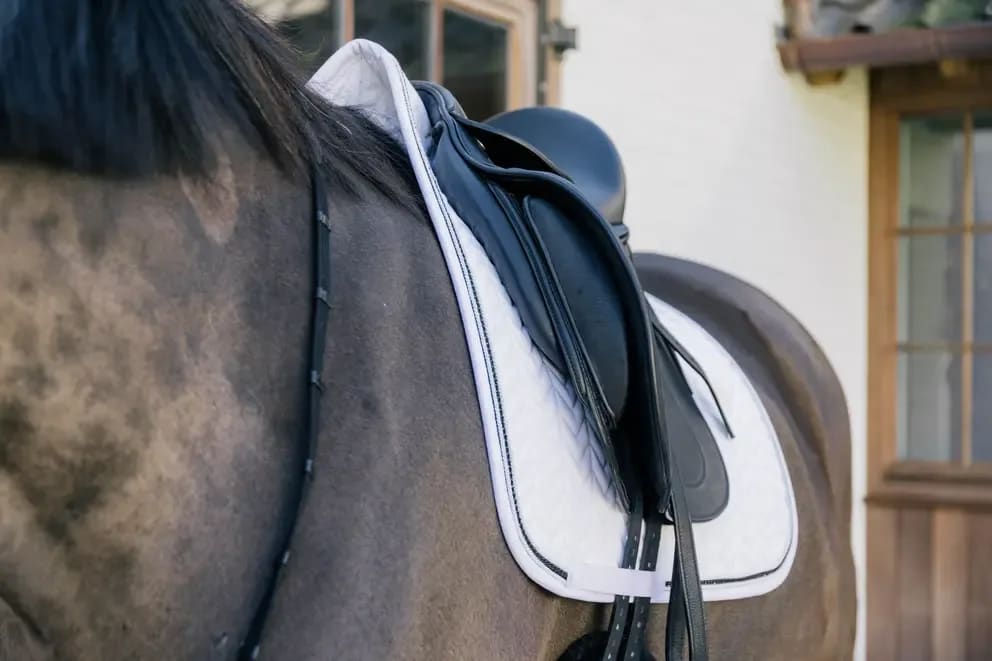 Kentucky Saddle Pad Metal Chain Dressage - Løwenborg - Kentucky Horsewear