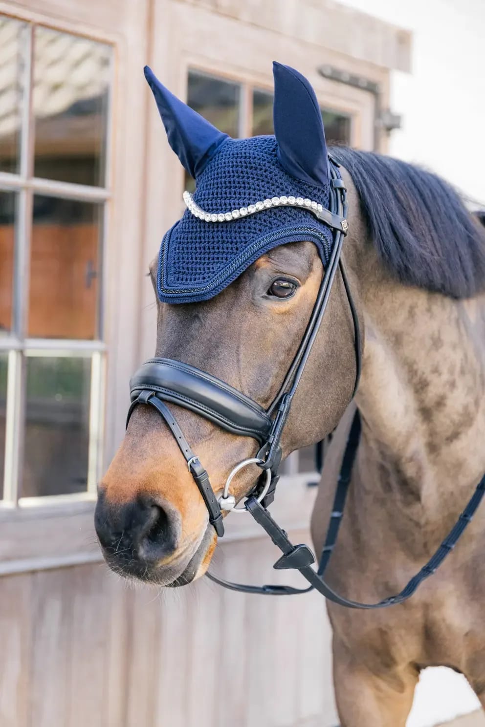 Kentucky Fly Veil Wellington Metal Chain - Løwenborg - Kentucky Horsewear