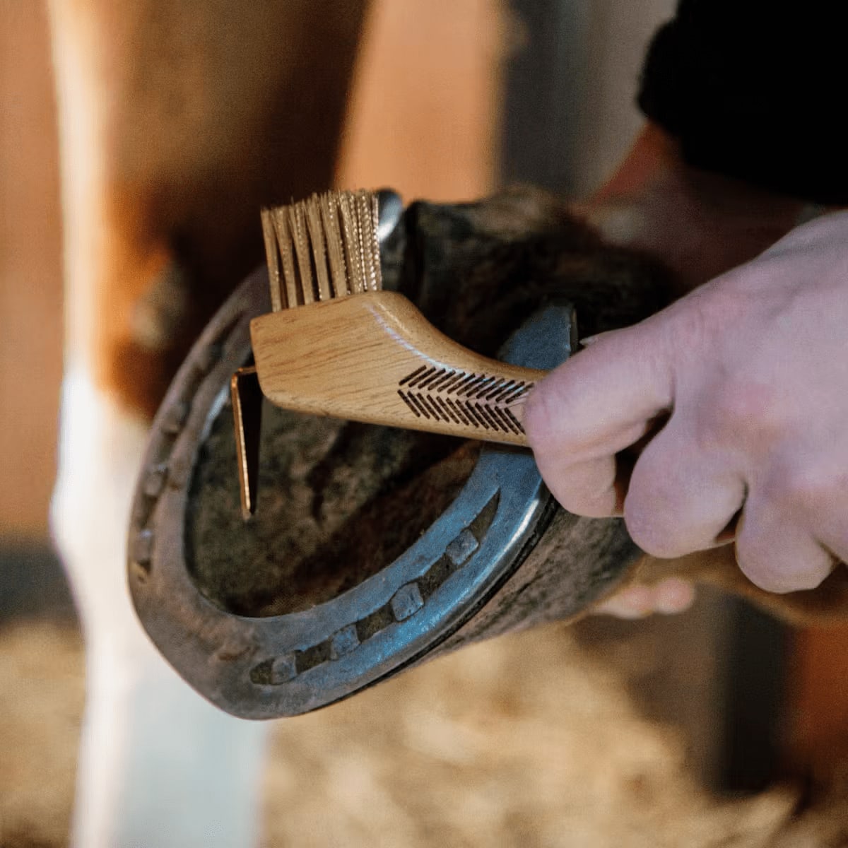 Grooming Deluxe Hoof Pick w/ Metal Bristle - Løwenborg - Grooming Deluxe