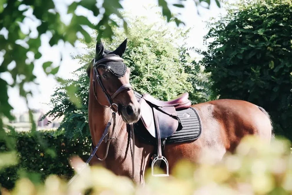 Kentucky Fly veil Long Stone & Pearl