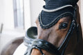 Kentucky Fly veil Long Stone & Pearl - Løwenborg - Kentucky Horsewear