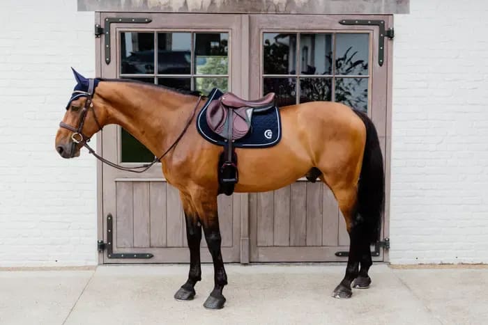 Kentucky Saddle Pad Onion Quilt 3D Logo Jumping - Løwenborg - Kentucky Horsewear