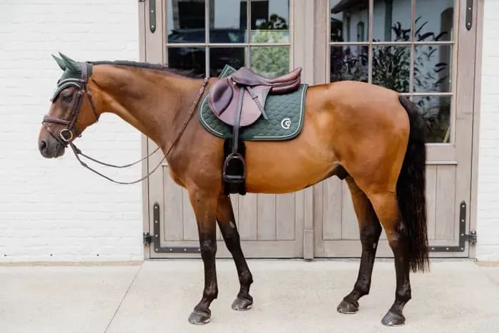 Kentucky Saddle Pad Onion Quilt 3D Logo Jumping - Løwenborg - Kentucky Horsewear