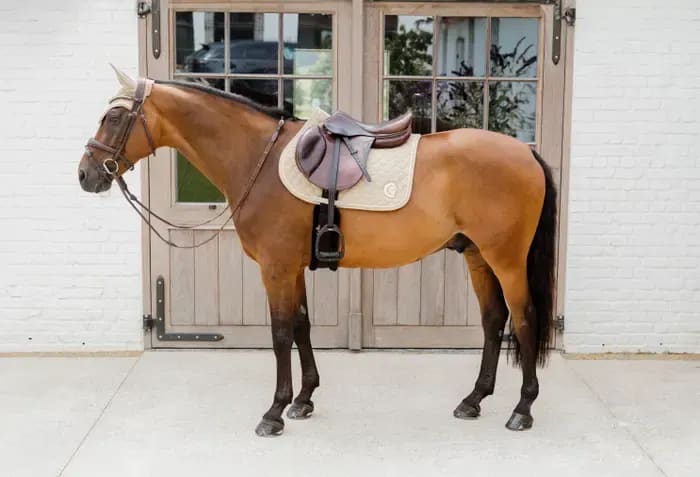 Kentucky Saddle Pad Onion Quilt 3D Logo Jumping - Løwenborg - Kentucky Horsewear