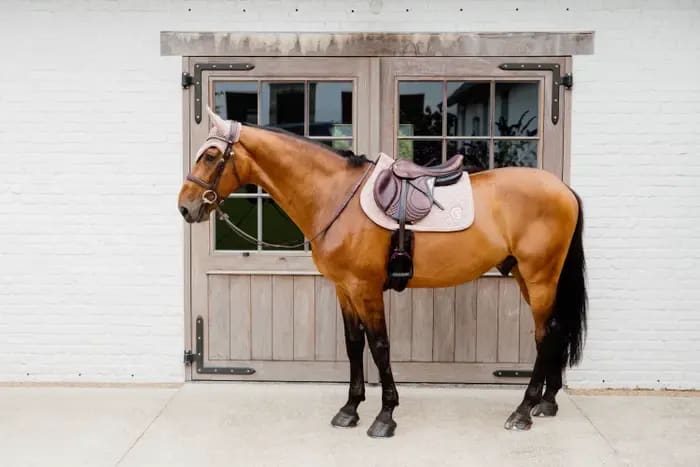 Kentucky Saddle Pad Onion Quilt 3D Logo Jumping - Løwenborg - Kentucky Horsewear