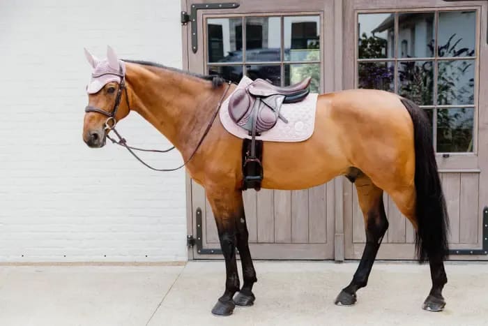 Kentucky Saddle Pad Onion Quilt 3D Logo Jumping - Løwenborg - Kentucky Horsewear