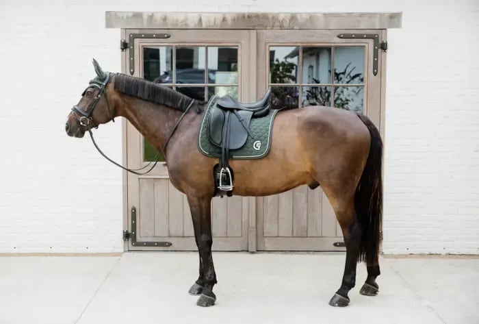Kentucky Saddle Pad Onion Quilt 3D Logo Dressage - Løwenborg - Kentucky Horsewear