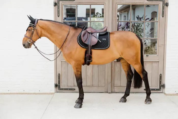 Kentucky Saddle Pad Onion Quilt Rubber Logo Jumping - Løwenborg - Kentucky Horsewear