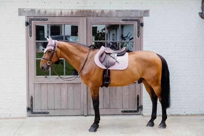 Kentucky Saddle Pad Onion Quilt Rubber Logo Jumping - Løwenborg - Kentucky Horsewear