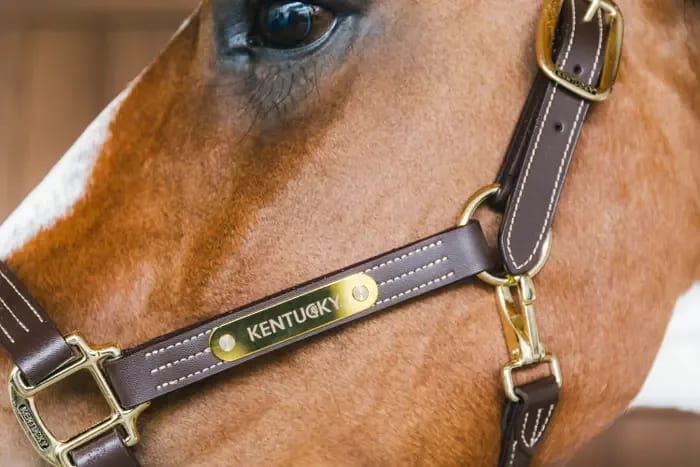 Kentucky Leather Halter Wellington - Løwenborg - Kentucky Horsewear