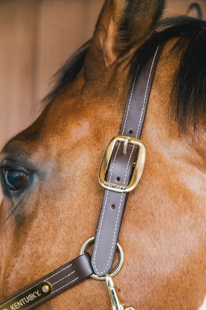 Kentucky Leather Halter Wellington - Løwenborg - Kentucky Horsewear