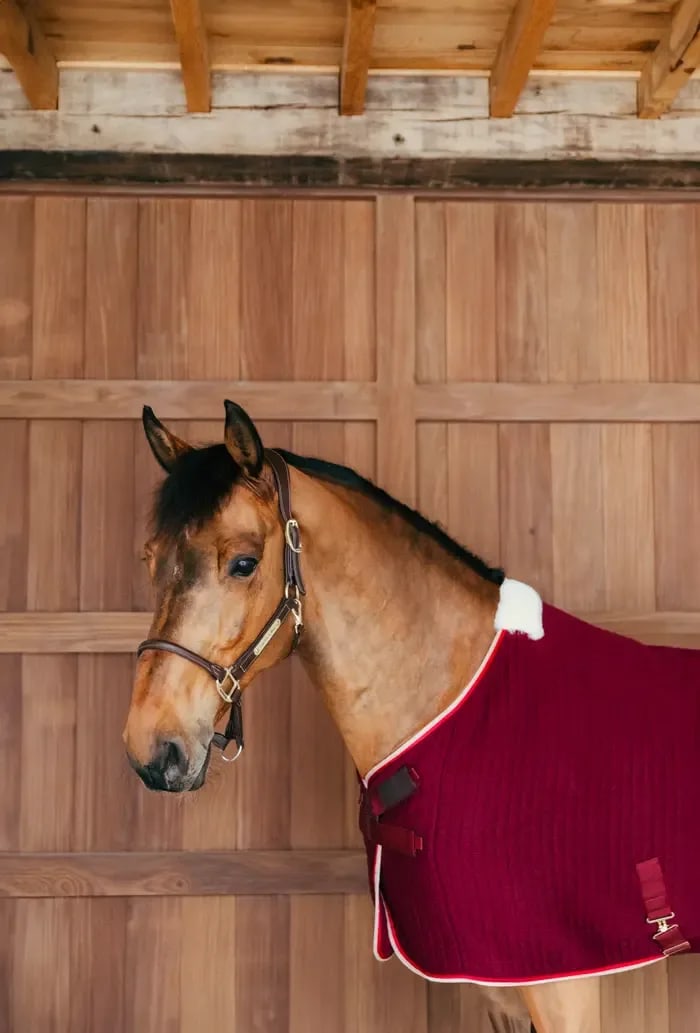 Kentucky Cooler Rug ProTherm - Løwenborg - Kentucky Horsewear