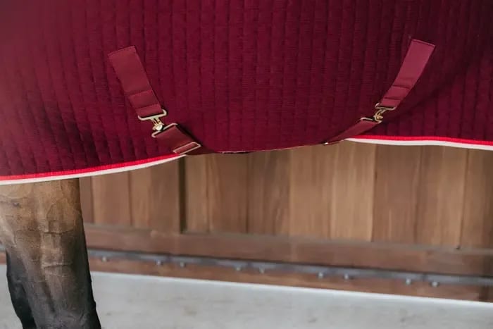 Kentucky Cooler Rug ProTherm - Løwenborg - Kentucky Horsewear