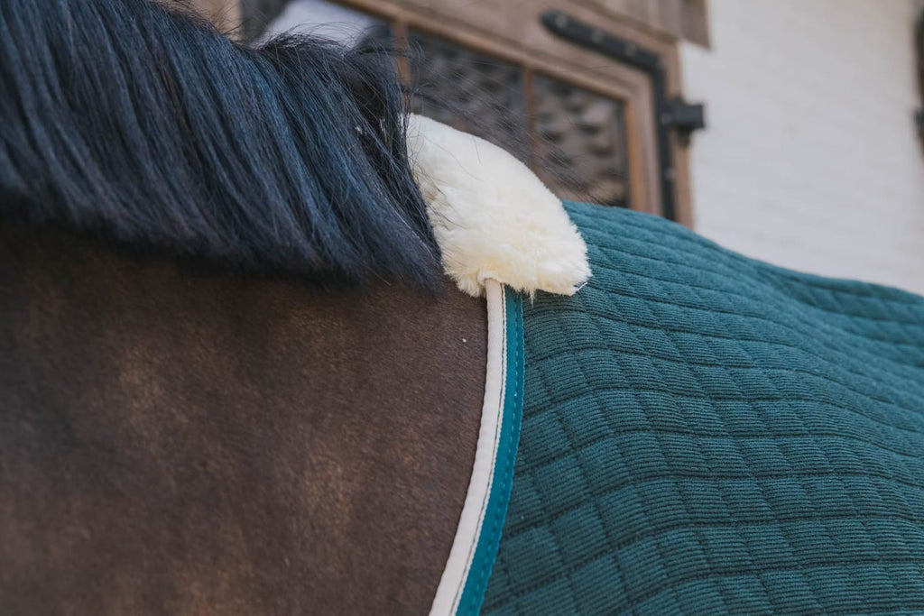 Kentucky Cooler Rug ProTherm - Løwenborg - Kentucky Horsewear