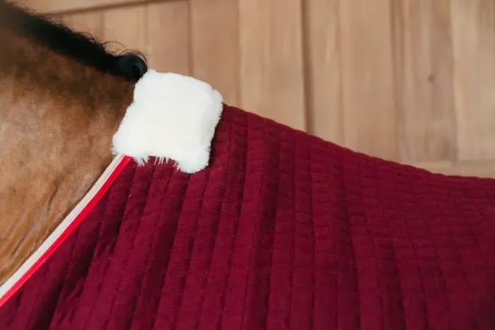 Kentucky Cooler Rug ProTherm - Løwenborg - Kentucky Horsewear