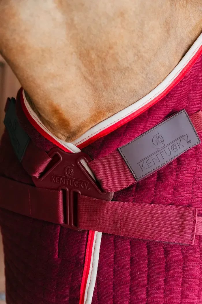 Kentucky Cooler Rug ProTherm - Løwenborg - Kentucky Horsewear