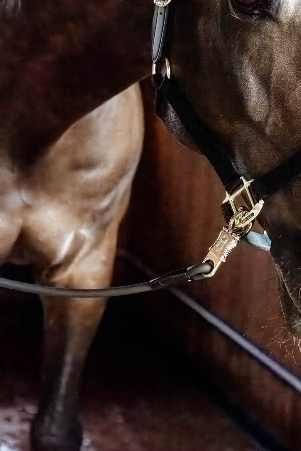 Kentucky Horse Box Lead & Cross Ties Silicone - Løwenborg - Kentucky Horsewear