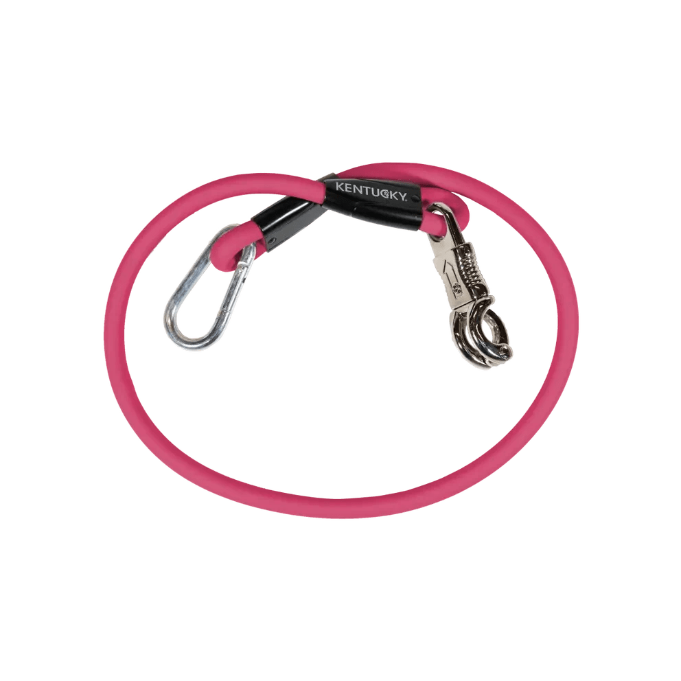 Kentucky Horse Box Lead & Cross Ties Silicone - Løwenborg - Kentucky Horsewear