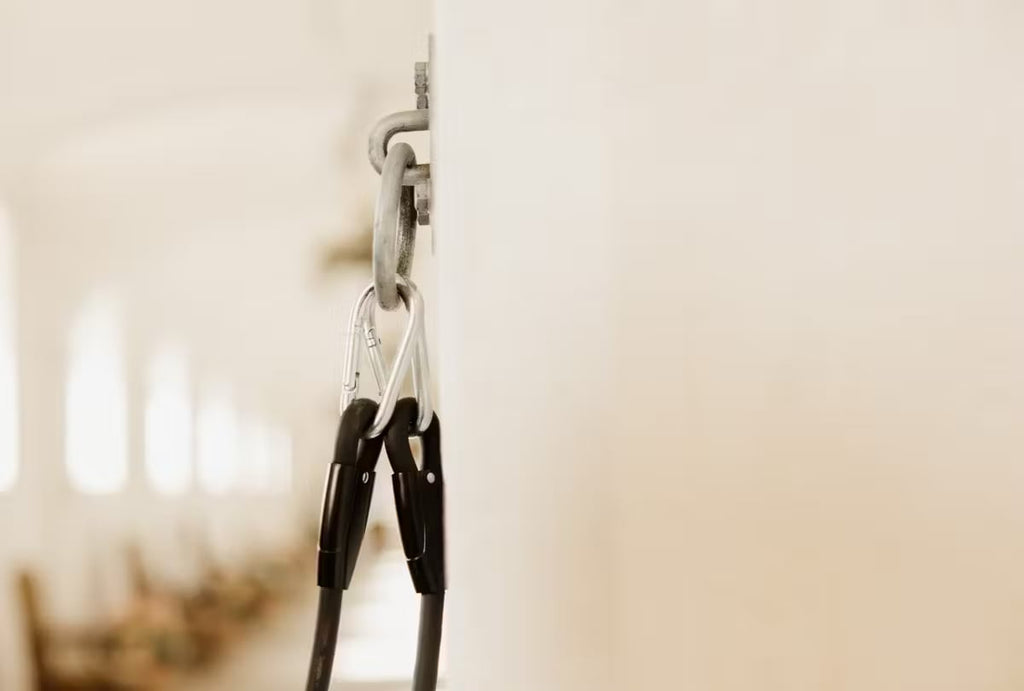 Kentucky Horse Box Lead & Cross Ties Silicone - Løwenborg - Kentucky Horsewear