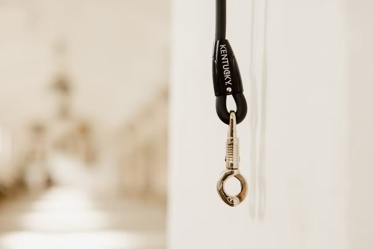 Kentucky Horse Box Lead & Cross Ties Silicone