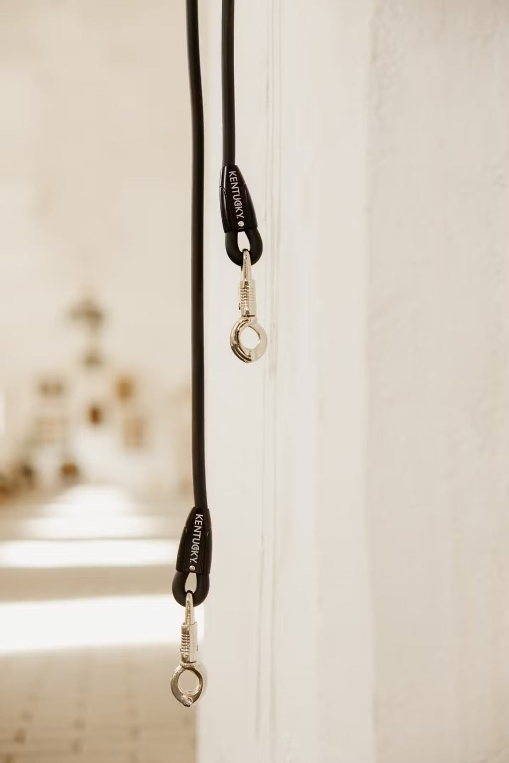 Kentucky Horse Box Lead & Cross Ties Silicone - Løwenborg - Kentucky Horsewear