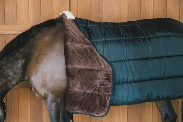 Kentucky Turnout rug Comfort Liner Pro - Løwenborg - Kentucky Horsewear