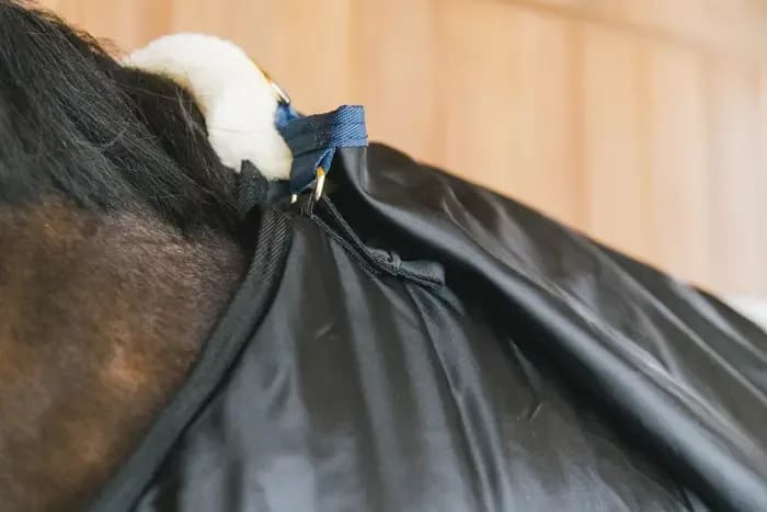 Kentucky Turnout rug Comfort Liner Pro - Løwenborg - Kentucky Horsewear