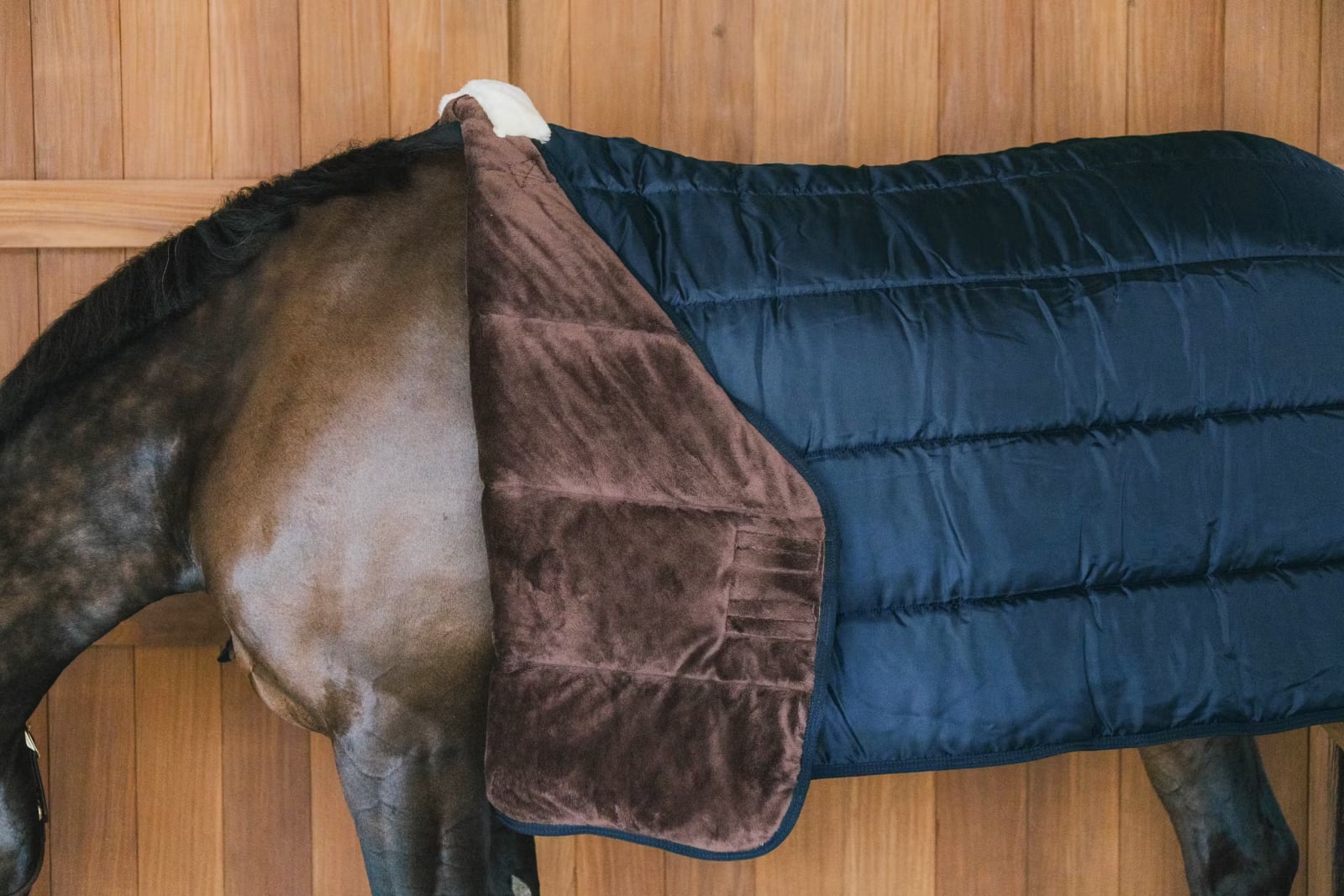 Kentucky Turnout rug Comfort Liner Pro - Løwenborg - Kentucky Horsewear