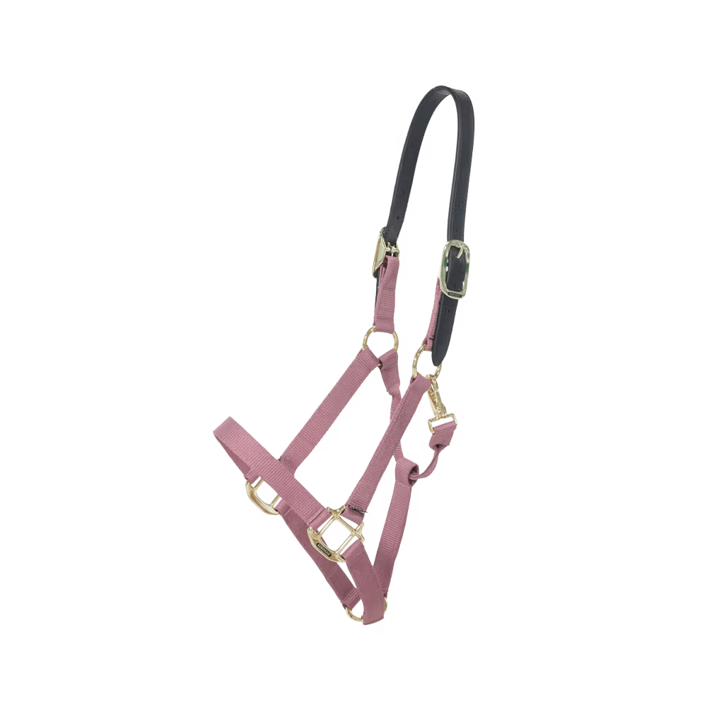 Kentucky Nylon Halter Breakaway