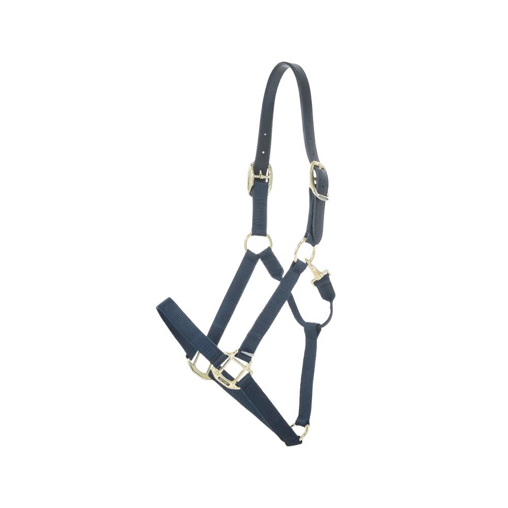 Kentucky Nylon Halter Breakaway