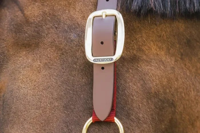 Kentucky Nylon Halter Breakaway - Løwenborg - Kentucky Horsewear