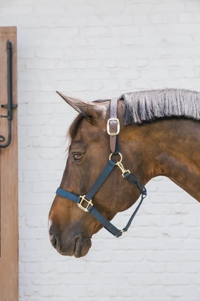 Kentucky Nylon Halter Breakaway - Løwenborg - Kentucky Horsewear