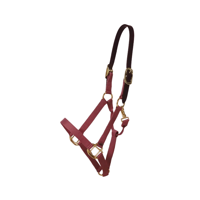 Kentucky Nylon Halter Breakaway - Løwenborg - Kentucky Horsewear