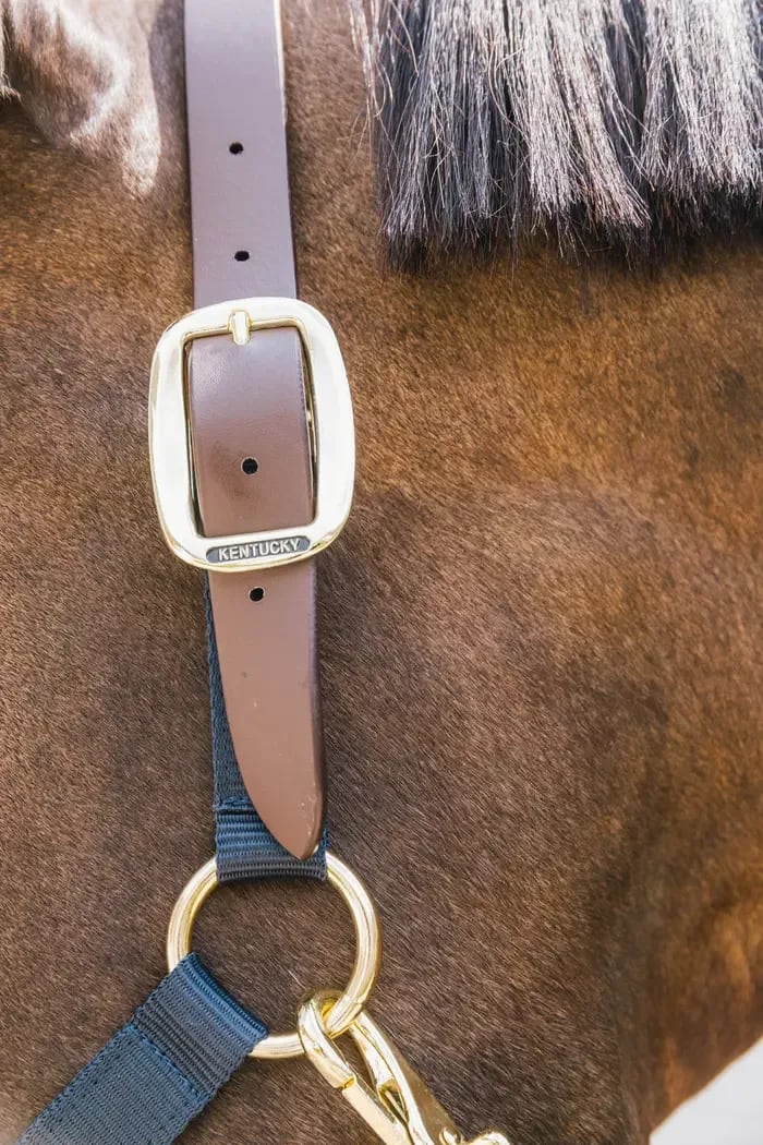 Kentucky Nylon Halter Breakaway - Løwenborg - Kentucky Horsewear