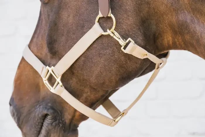Kentucky Nylon Halter Breakaway - Løwenborg - Kentucky Horsewear