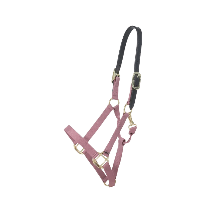 Kentucky Nylon Halter Breakaway - Løwenborg - Kentucky Horsewear