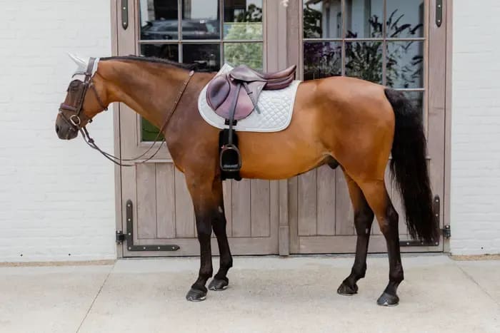Kentucky Saddle Pad Diamond Rope Jumping - Løwenborg - Kentucky Horsewear