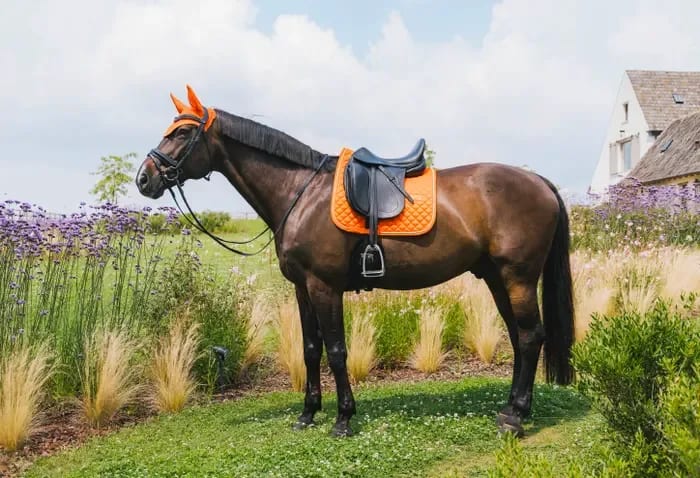 Kentucky Saddle Pad Diamond Rope Dressage - Løwenborg - Kentucky Horsewear