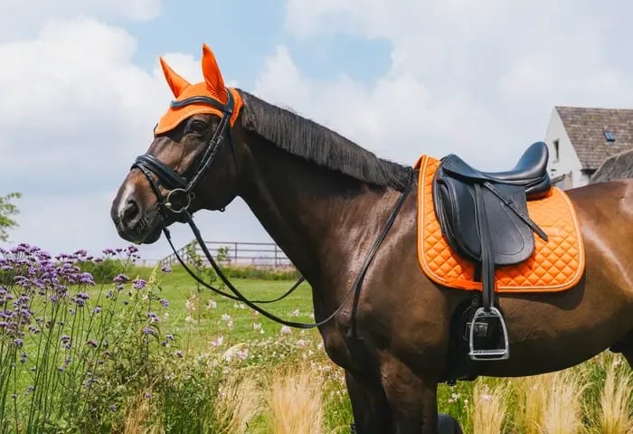 Kentucky Fly Veil Wellington Diamond Rope - Løwenborg - Kentucky Horsewear