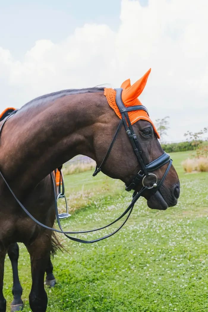 Kentucky Fly Veil Wellington Diamond Rope - Løwenborg - Kentucky Horsewear