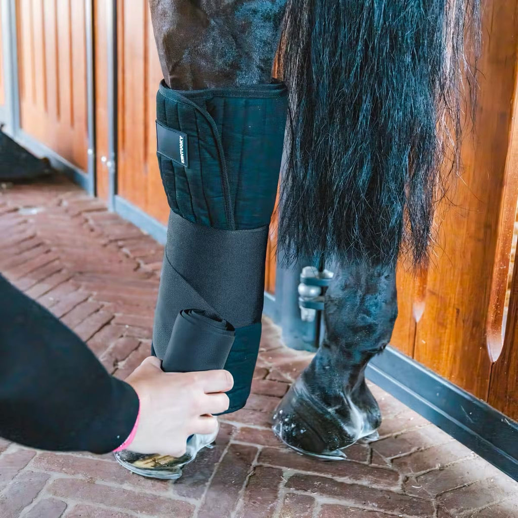 Kentucky Stable Bandage Wraps - Løwenborg - Kentucky Horsewear