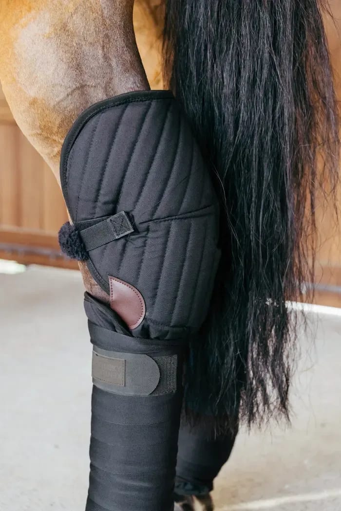 Kentucky Transport Stable Bandage Pad w/Hook Protection - Løwenborg - Kentucky Horsewear
