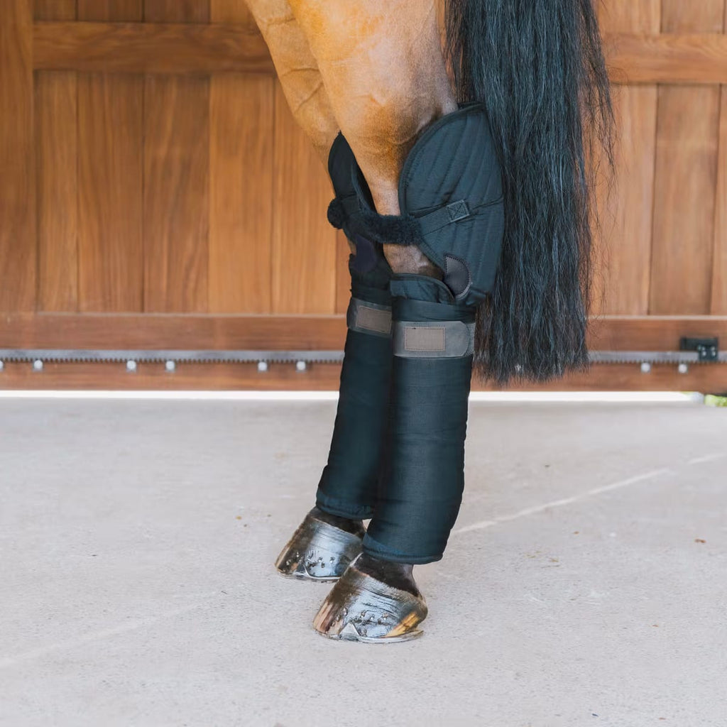 Kentucky Transport Stable Bandage Pad w/Hook Protection - Løwenborg - Kentucky Horsewear