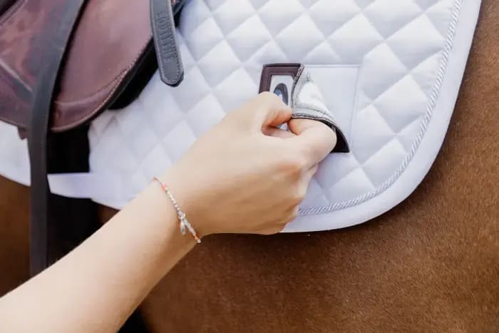 Kentucky Saddle Pad Diamond Competiton 2 Numbers Jumping - Løwenborg - Kentucky Horsewear