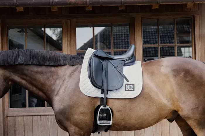 Kentucky Saddle Pad Diamond Competiton 2 Numbers Dressage - Løwenborg - Kentucky Horsewear