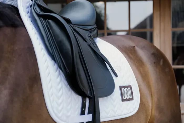 Kentucky Saddle Pad Fishbone Competiton w/ 2 Numbers Dressage - Løwenborg - Kentucky Horsewear